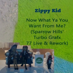 Now What Ya You Want From Me? (Sparrow Hills Turbo Grafx 77 Live & Rework)