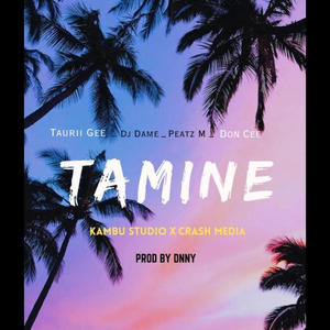 TAMINE (feat. Taurii Gee Dj Dame Don-C)