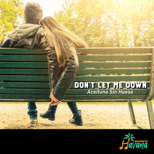 Don't Let Me Down ( Aceituna sin Hueso )