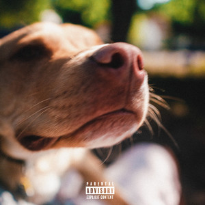 Staring Me Down (Explicit)