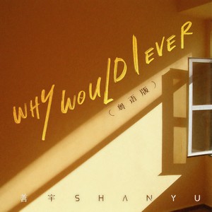 Why Would I Ever-善宇