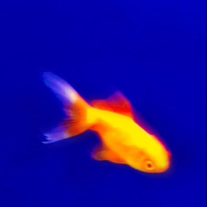 I Swear (feat. Extendos)