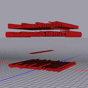 Bunu Sana Demiştim (sped up|Disco Tarantula Remix)