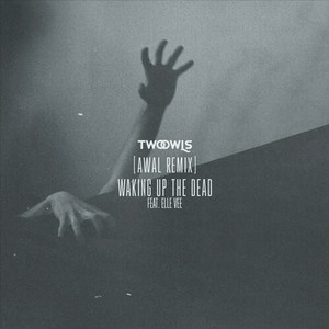 Waking Up The Dead (AWAL Remix)