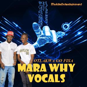 Mara why (Vocals)