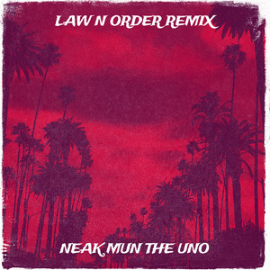 Law n Order (Remix) [Explicit]