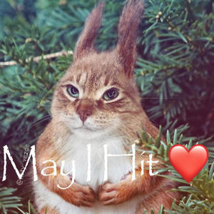 girls wanna have fun (Explicit)