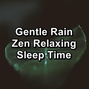 Gentle Rain Zen Relaxing Sleep Time