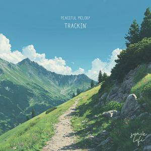 Trackin'