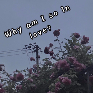 Why am I so in love？