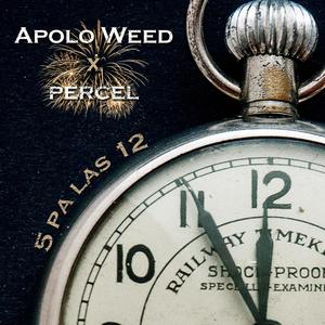 5 pa' Las 12 (feat. percel) (Explicit)