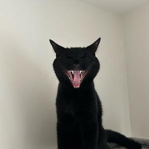 why are you with him? it's killing me