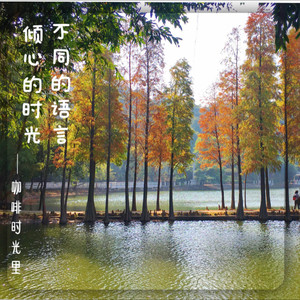 你啊你啊 (Live)