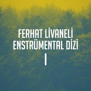 Enstrümantal Dizi, Vol. 1