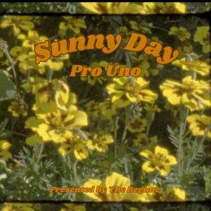 Sunny Day (Explicit)