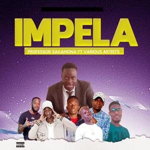 Impela (feat. Wizdors,D -boy,Jay Cole & Mr.T DWITBOY) [Explicit]