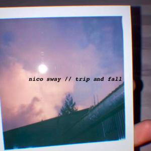 trip and fall