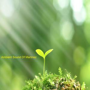 Ambient Sound of Martinez