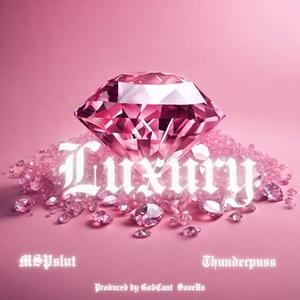 LUXURY (feat. THUNDERPUSS) (Explicit)