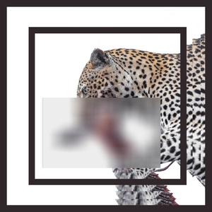 Dylan Sway (Extended Version)