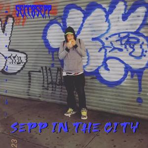 Sepp in the City (Explicit)