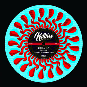 Shake (Original Mix)