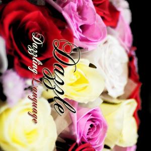 Dazzling Language(Feat. 나래)