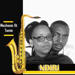 Ndiri (feat. Tamie)