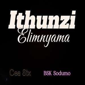 Ithunzi Elimnyama