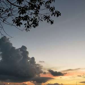 盗墓笔记·十年人间