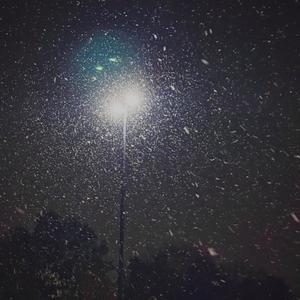 OFFYEA (feat. Jed!) (Explicit)