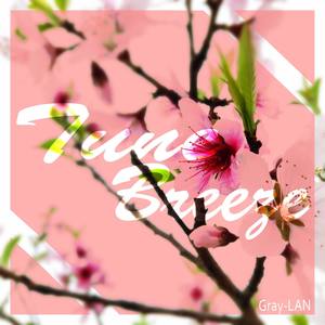 Tune breeze（试听）