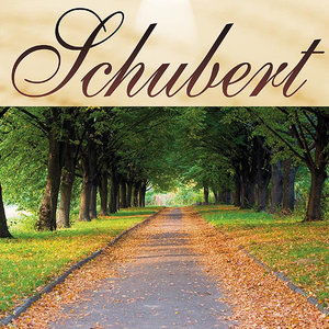 Momento Musical Op.94 Nº3 D.780 - Schubert