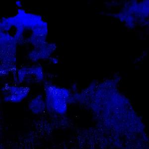 I Don't Wanna Bother.