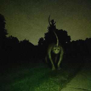 happy halloween from galvxn (Explicit)