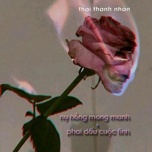 Mashup Nụ Hồng Mong Manh - Phai Dấu Cuộc Tình