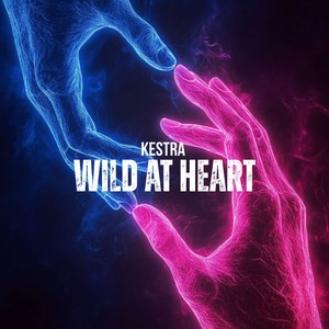 Wild At Heart (Radio Edit)