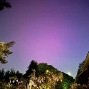 Every Time (feat. Levandé)