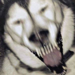 HELLHOUNDS (Explicit)