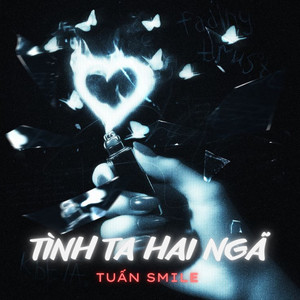 Tình Ta Hai Ngã