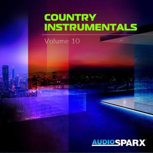 Country Instrumentals Volume 10