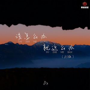 该怎么办就这么办 (DJ豪大大版伴奏)