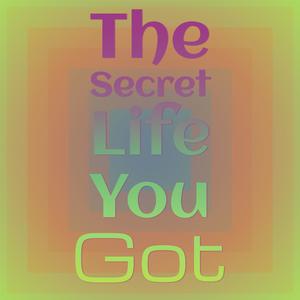 The Secret Life You Got