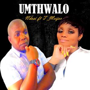 Umthwalo (feat. Ndosi) (Radio Edit)
