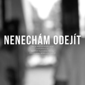 Nenechám odejít (feat. Wožel) (Explicit)