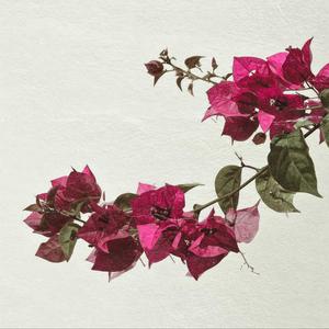 me robaron tus ojitos : (