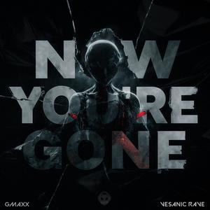 Now You're Gone (HARD TECHNO)