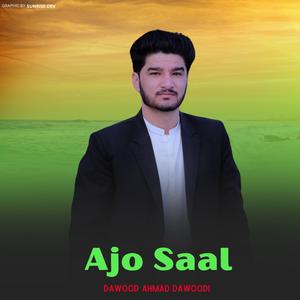 Ajo Saal (Shina PPP Tarana) (feat. Dawood Ahmad Dawoodi)