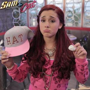 Sam & Cat (cedwood) [Explicit]