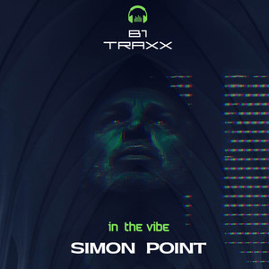 In the Vibe (Radio Edit|Explicit)